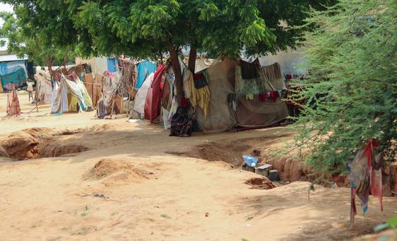 أطفال يجلسون بجانب خيام مؤقتة في الفاشر بشمال دارفور حيث أدى تصاعد القتال إلى محاصرة الآلاف.